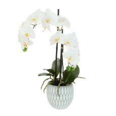 Floralsilk 2 Orchid in Geo Pot 48cm