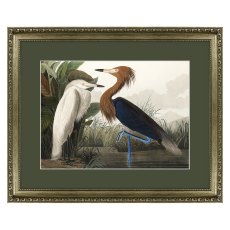 Artko Purple Heron Artko Purple Heron