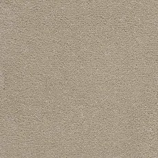 Highgate Finesse Carpet in Bellini