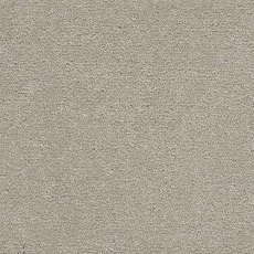 Highgate Finesse Carpet in Dove Highgate Finesse Carpet in Dove