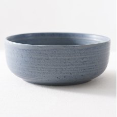 Carnaby Bloomsbury Blue Pasta Bowl Carnaby Bloomsbury Blue Pasta Bowl