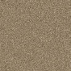 Zenith carpet in Dark Taupe Zenith carpet in Dark Taupe