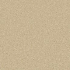 Zenith carpet in Palomino Gold Zenith carpet in Palomino Gold