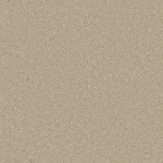 Zenith carpet in Yorkstone