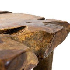 Natures Way Collection  Mushroom Side Table