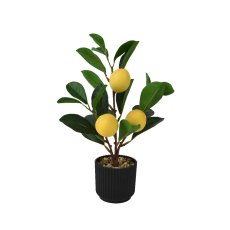 Kaemingk Faux Lemon Tree in Pot Kaemingk Faux Lemon Tree in Pot