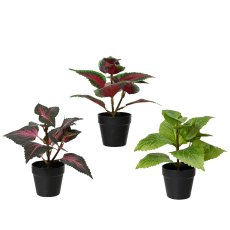 Kaemingk Faux Plant in Black Pot