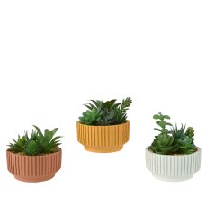 Kaemingk Faux Succulent in Pot