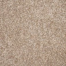 Tribeca Carpet in Belgian Biscuit