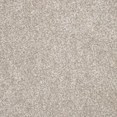Tribeca Carpet in Elephants Breath Tribeca Carpet in Elephants Breath