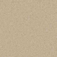 Timeless Classic Carpet in Pure Pebble