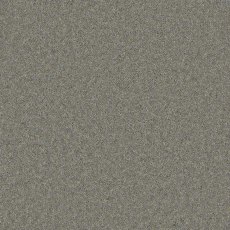 Timeless Classic Carpet in Rocky Ridge