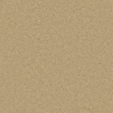 Timeless Classic Carpet in Sand Salt Timeless Classic Carpet in Sand Salt