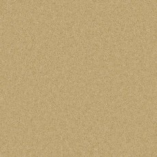 Timeless Deluxe Carpet in Classic Clay Timeless Deluxe Carpet in Classic Clay