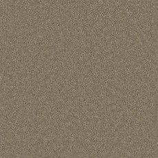 Timeless Deluxe Carpet in Dawlish Driftwood