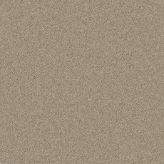 Timeless Deluxe Carpet in Fleeting Fawn Timeless Deluxe Carpet in Fleeting Fawn