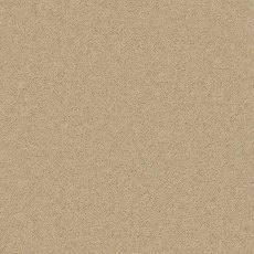 Timeless Deluxe Carpet in Light Lace Timeless Deluxe Carpet in Light Lace