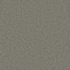 Timeless Deluxe Carpet in Rocky Ridge Timeless Deluxe Carpet in Rocky Ridge