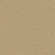 Timeless Deluxe Carpet in Sand Salt Timeless Deluxe Carpet in Sand Salt