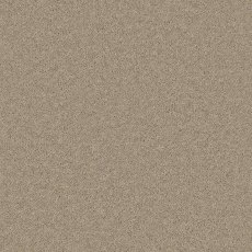 Timeless Deluxe Carpet in Tranquil Truffle Timeless Deluxe Carpet in Tranquil Truffle