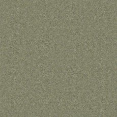 Timeless Deluxe Carpet in Wilting Willow Timeless Deluxe Carpet in Wilting Willow