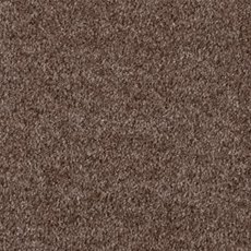 Yosemite Deluxe Carpet in Havana Yosemite Deluxe Carpet in Havana