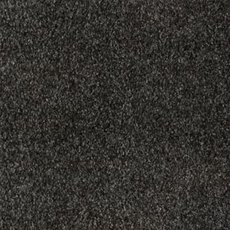 Yosemite Deluxe Carpet in Raven Yosemite Deluxe Carpet in Raven