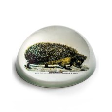McGowan Rutherford Glass Hedgehog Paperweight