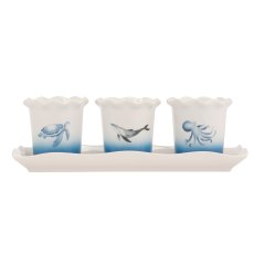 The Coast Set of 3 Herb Pots with Tray The Coast Set of 3 Herb Pots with Tray