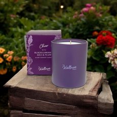 Potters Crouch Wellness Cheer Blackcurrant, Goji & Plum Glass Candle Potters Crouch Wellness Cheer Blackcurrant, Goji & Plum Glass Candle