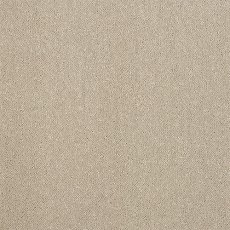 Captivation Carpet in Moon Cloud