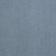 Captivation Carpet in Oceanside Captivation Carpet in Oceanside