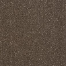 Captivation Carpet in Pentland Captivation Carpet in Pentland