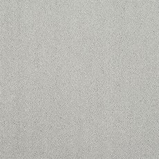 Captivation Carpet in Tundra Frost Captivation Carpet in Tundra Frost