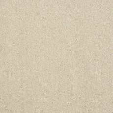 Captivation Carpet in Turtle Dove Captivation Carpet in Turtle Dove