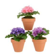 Floralsilk Assorted African Violets