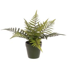 Floralsilk Fern In Plastic Pot