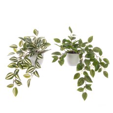 Floralsilk Assorted Greenery In Pot