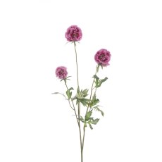 Floralsilk Pink Scabiosa Stellata Spray Floralsilk Pink Scabiosa Stellata Spray