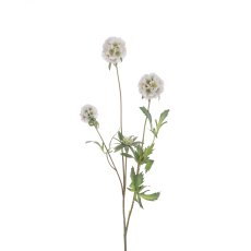 Floralsilk White Scabiosa Stellata Spray Floralsilk White Scabiosa Stellata Spray