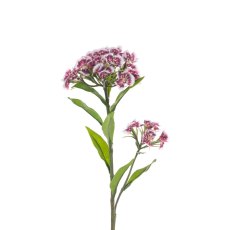 Floralsilk Eco Sweet William Spray Floralsilk Eco Sweet William Spray