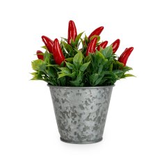 Candlelight Chilli Planter