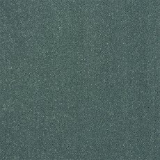 Pure Elegance Carpet in Treasure Isle Pure Elegance Carpet in Treasure Isle