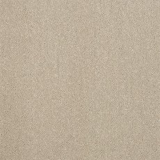 Pure Elegance Carpet in Moon Cloud