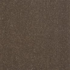 Pure Elegance Carpet in Pentland