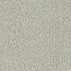 Celestial Carpet in Abalone Celestial Carpet in Abalone