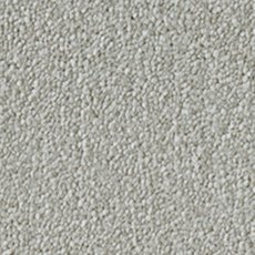 Celestial Carpet in Canvas