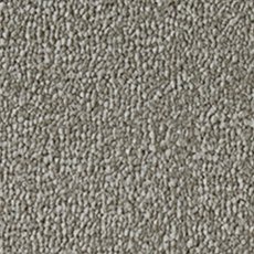 Celestial Carpet in Kobicha