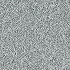 Celestial Carpet in Pearl