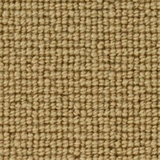 Loxley Loop Carpet in Goldfinch Loxley Loop Carpet in Goldfinch